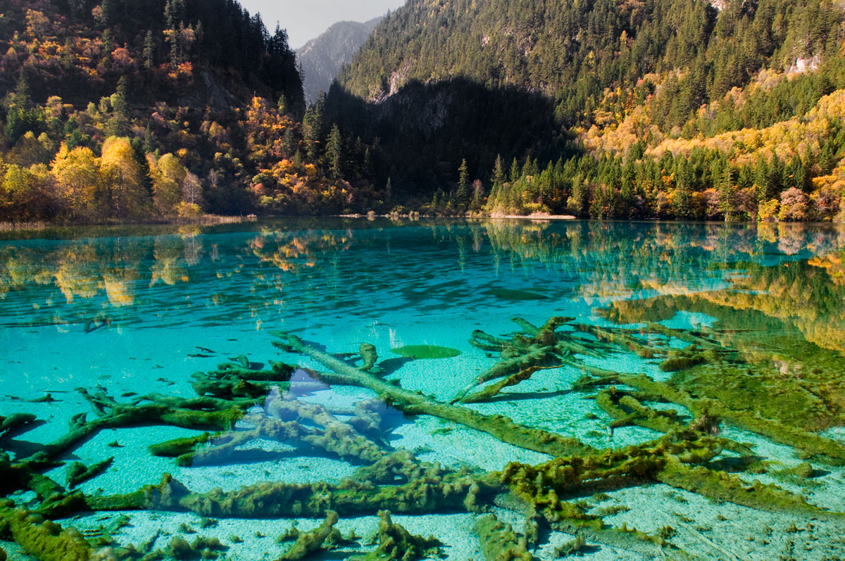 No. 2: Look into the crystal clear green water of Five Flower Lake on an autumnal morning - Jiuzhaigou National Park, Tibetan China, 2010