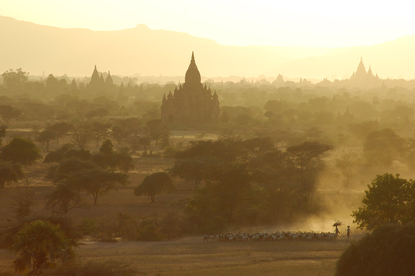 Golden Hour, Bagan, 2005