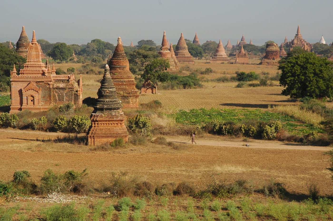 Bagan, 2005