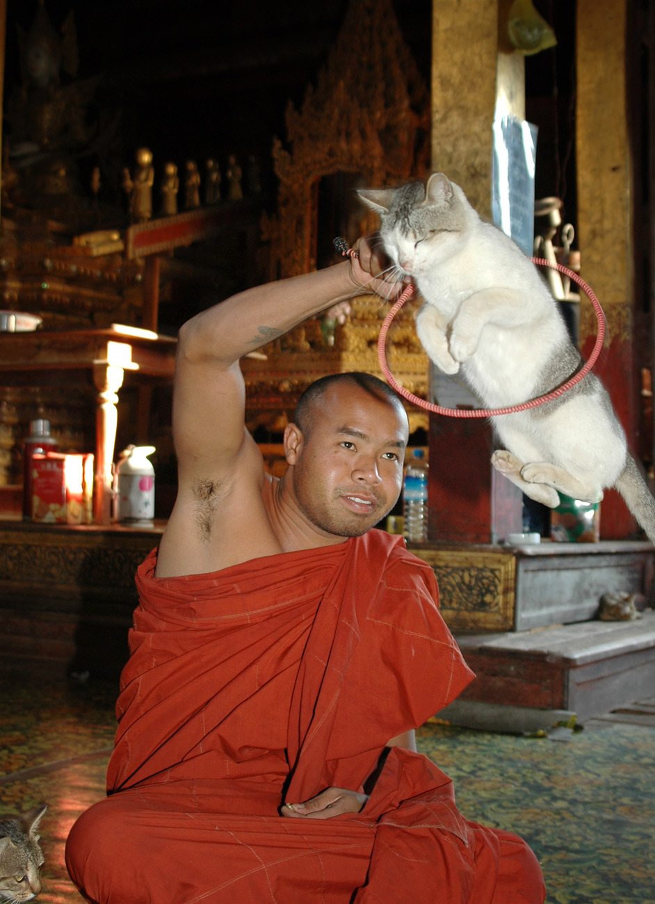 Nga Hpe Chaung monastery known as Jumping cat monastery, Inle Lake, 2005