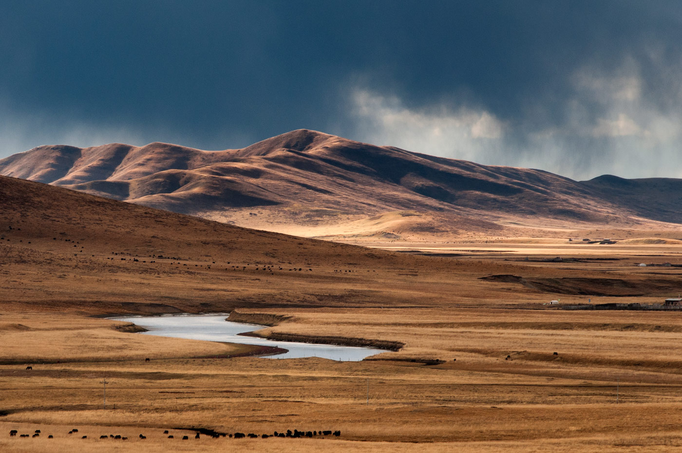 Ruoergai Grassland, Tibetan China, 2010