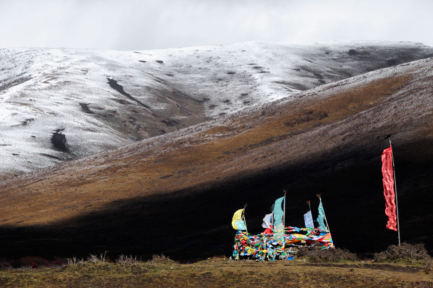 Ruoergai Grassland, Tibetan China, 2010