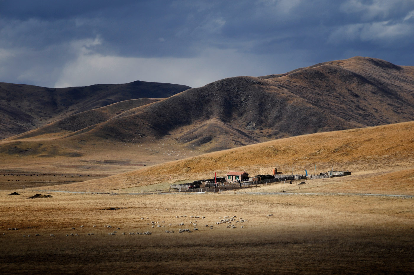 Ruoergai Grassland, Tibetan China, 2010