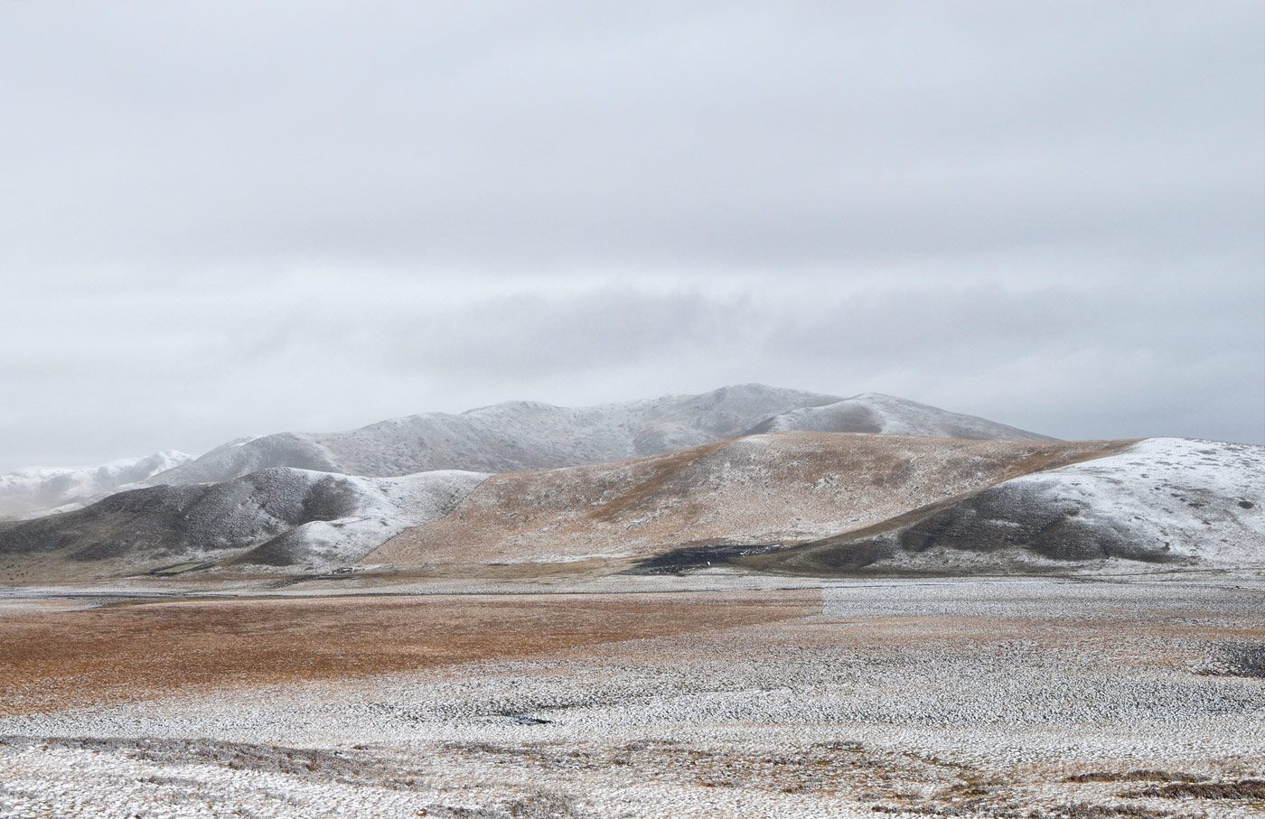 First Snow, Ruoergai Grassland, Tibetan China, 2010