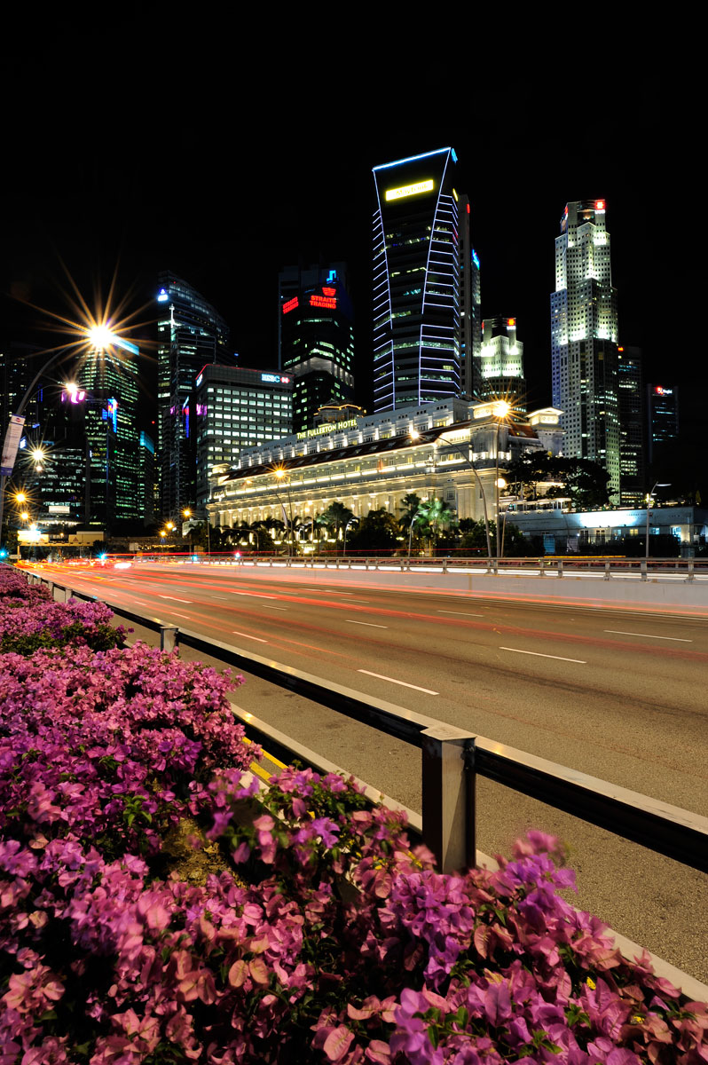 Theme: «Market Expansion Services», Singapore, 2012