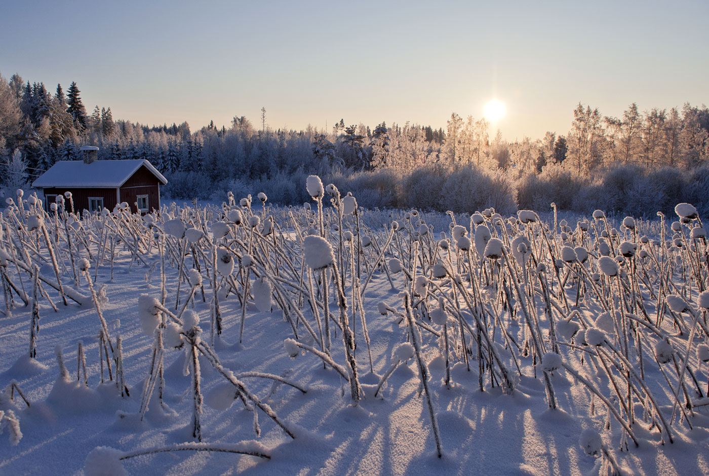 Viitasaari, Finland, 2012