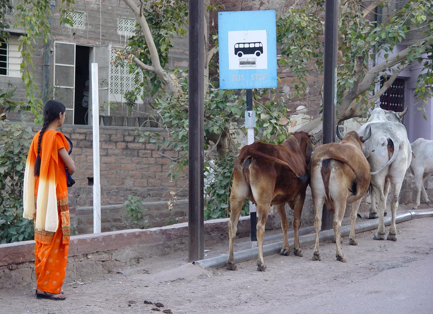 Jodhpur, Rajasthan, 2004 