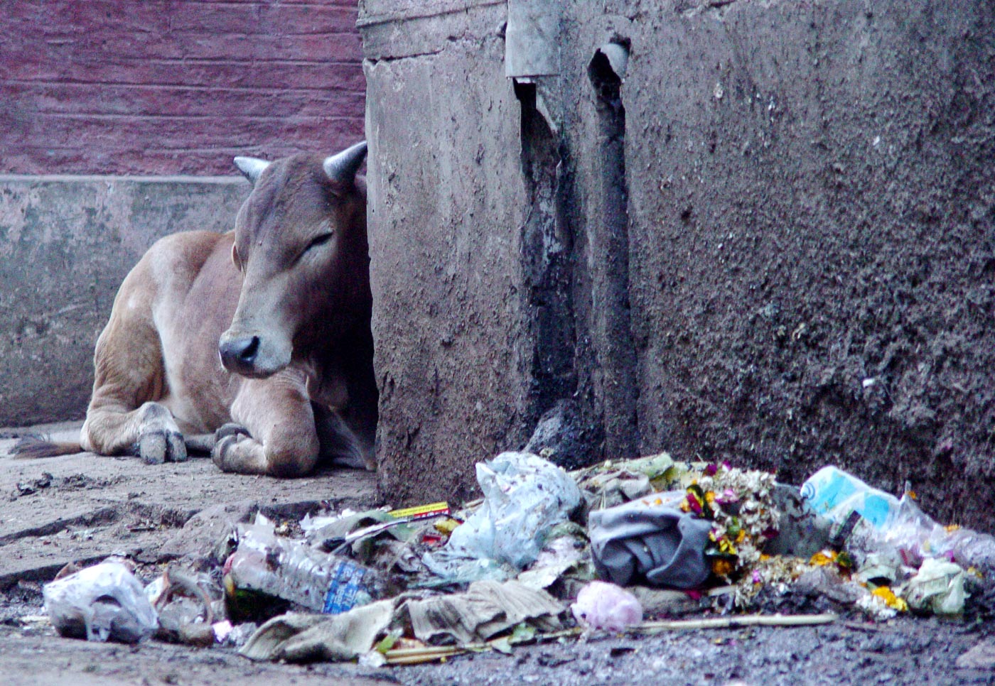 Varanasi, Uttar Pradesh, 2004