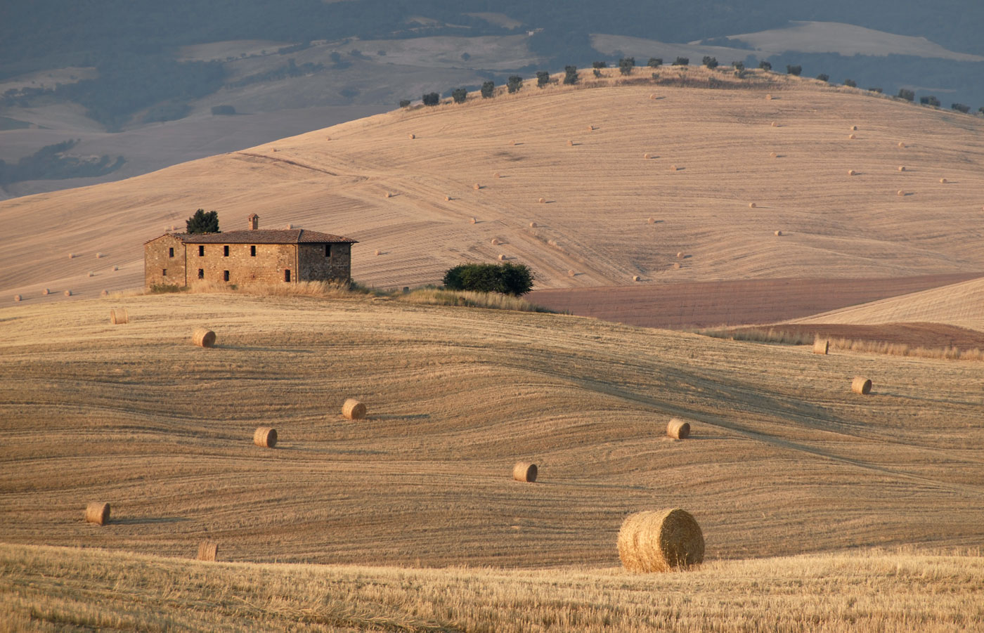 Near Pienza, Tuscany, 2006