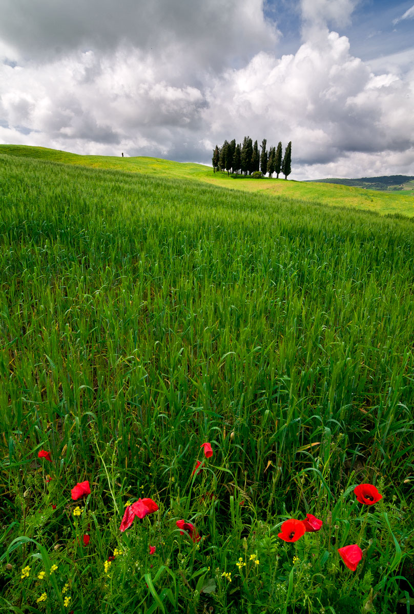 San Quirico d'Orcia, Tuscany, 2010