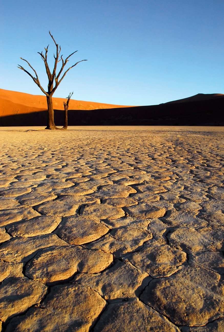 Dead Vlei, 2006