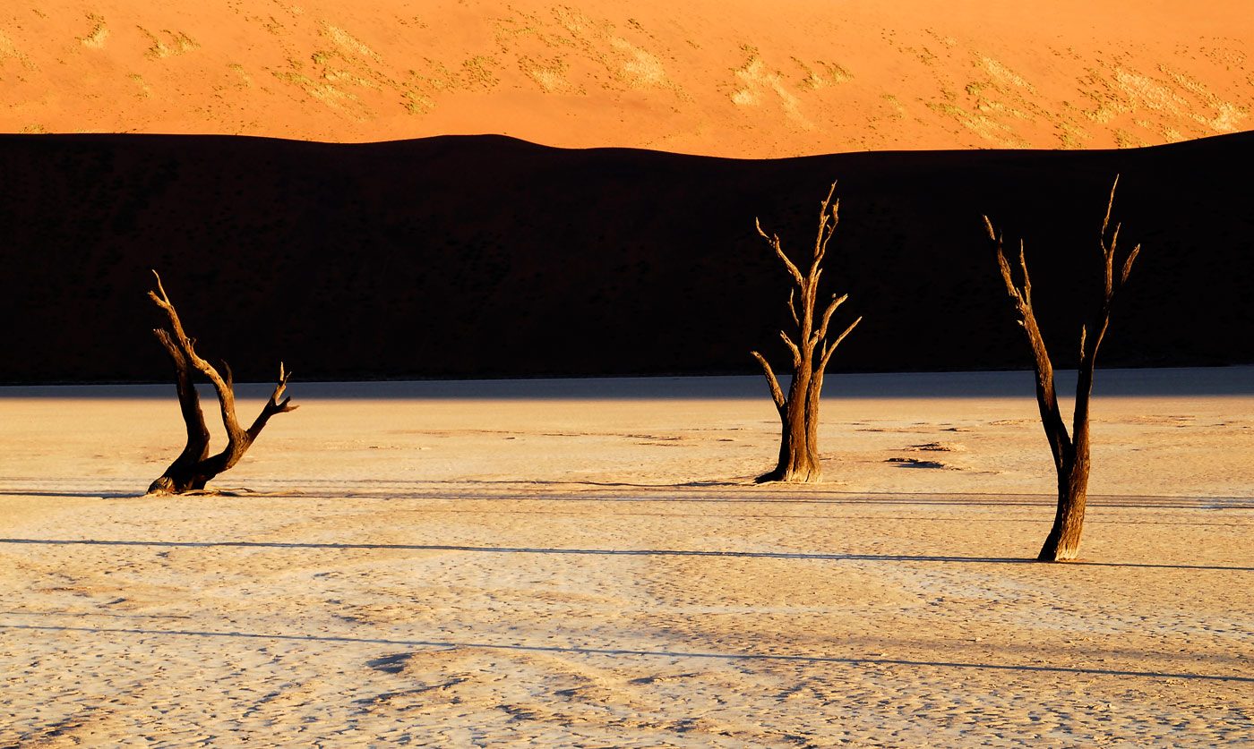 Dead Vlei, 2006