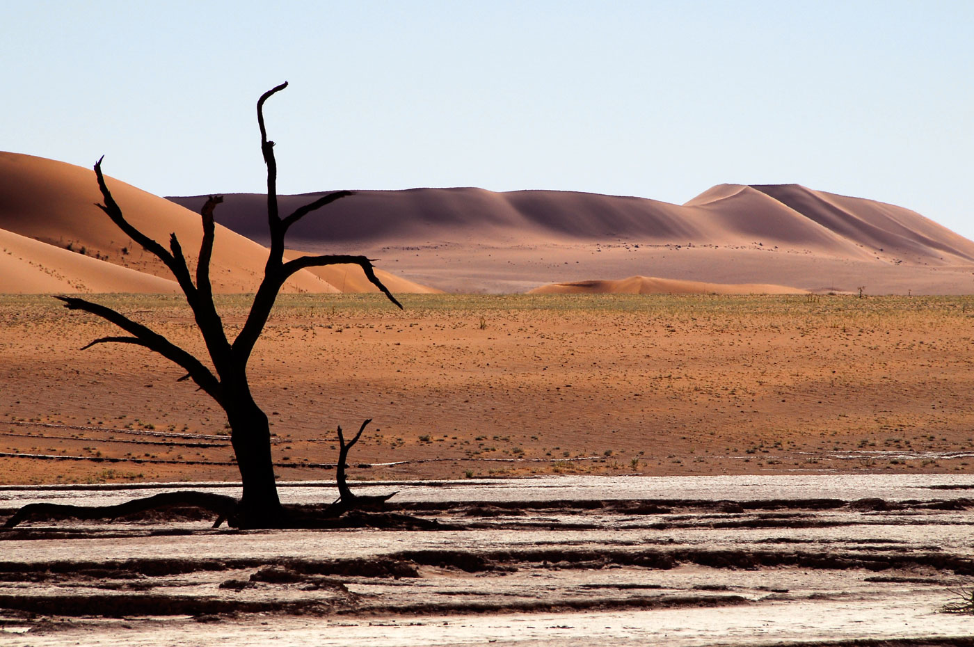 Dead Vlei, 2006