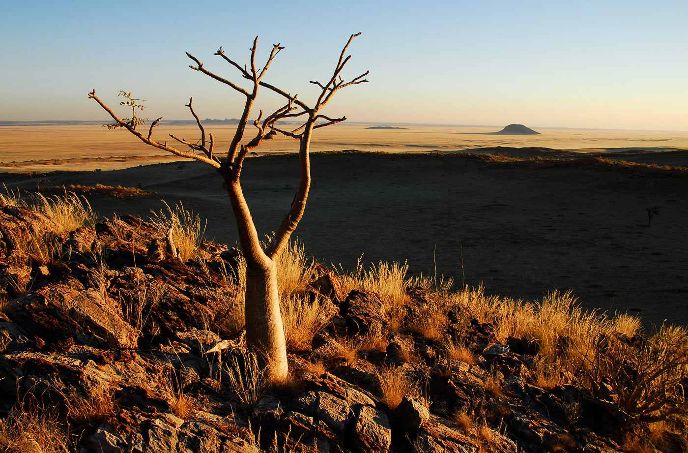 Tsondab Valley, 2006