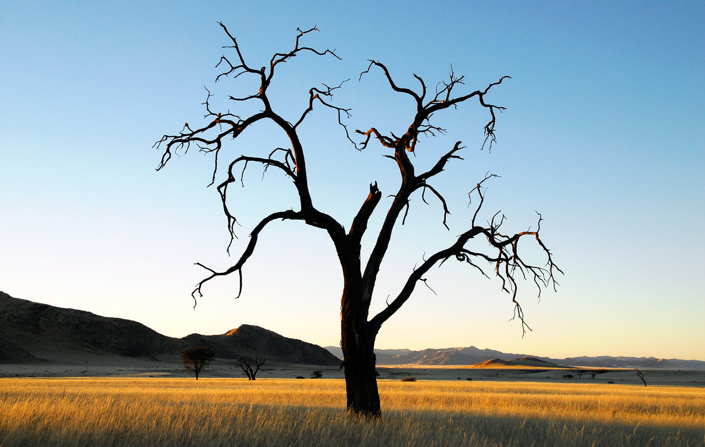 Tsondab Valley, 2006