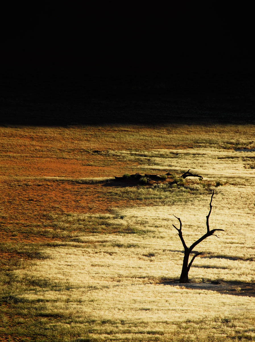 Sossusvlei NP, 2006