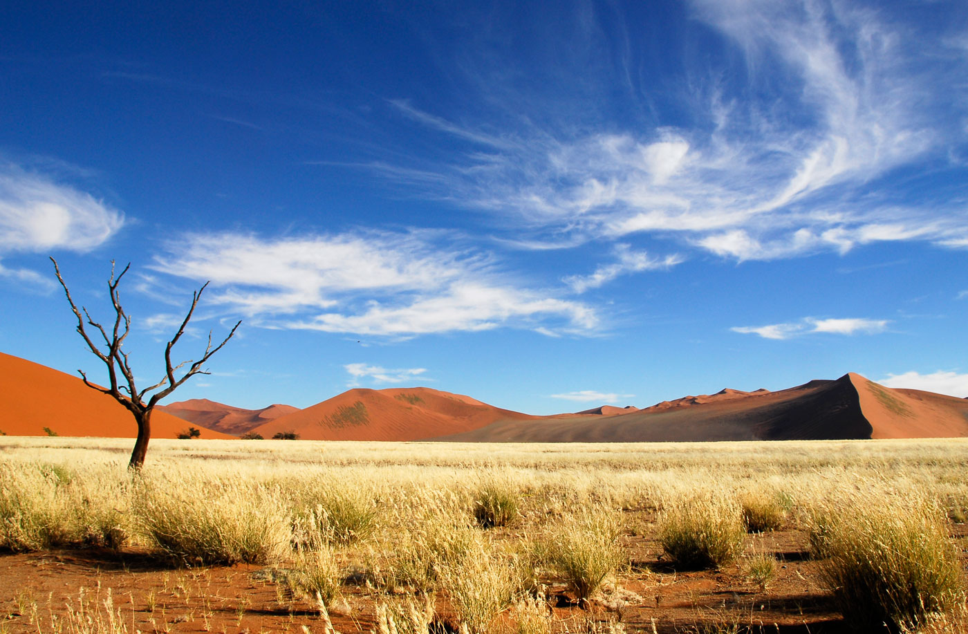 Near Dune 45, Namib Desert, 2006