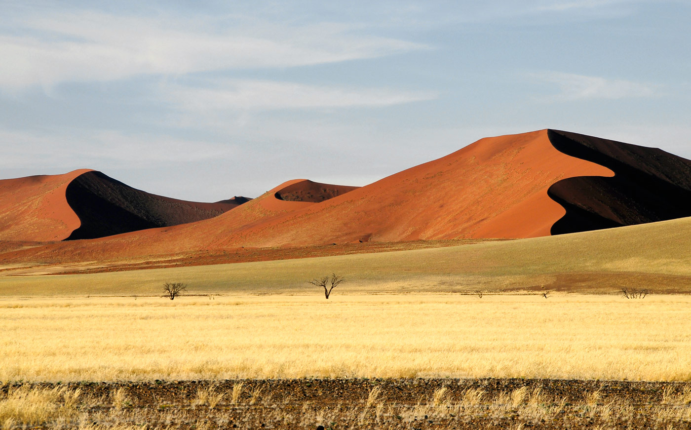 Namib Desert, 2006