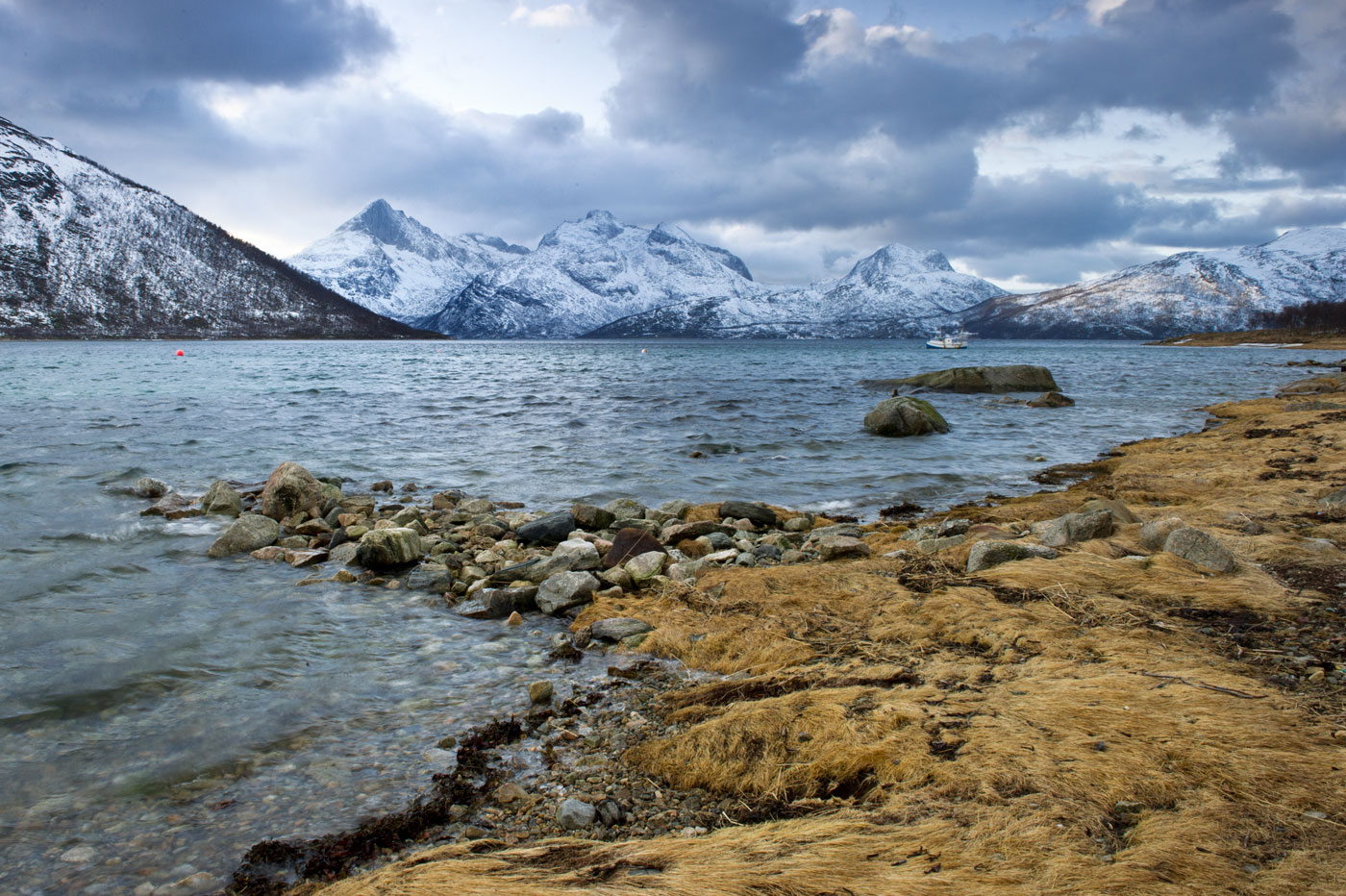 Lyfjorden, 2012