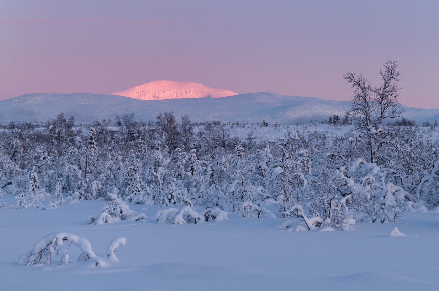 Eidkjosen, Close to Tromsö, 2010