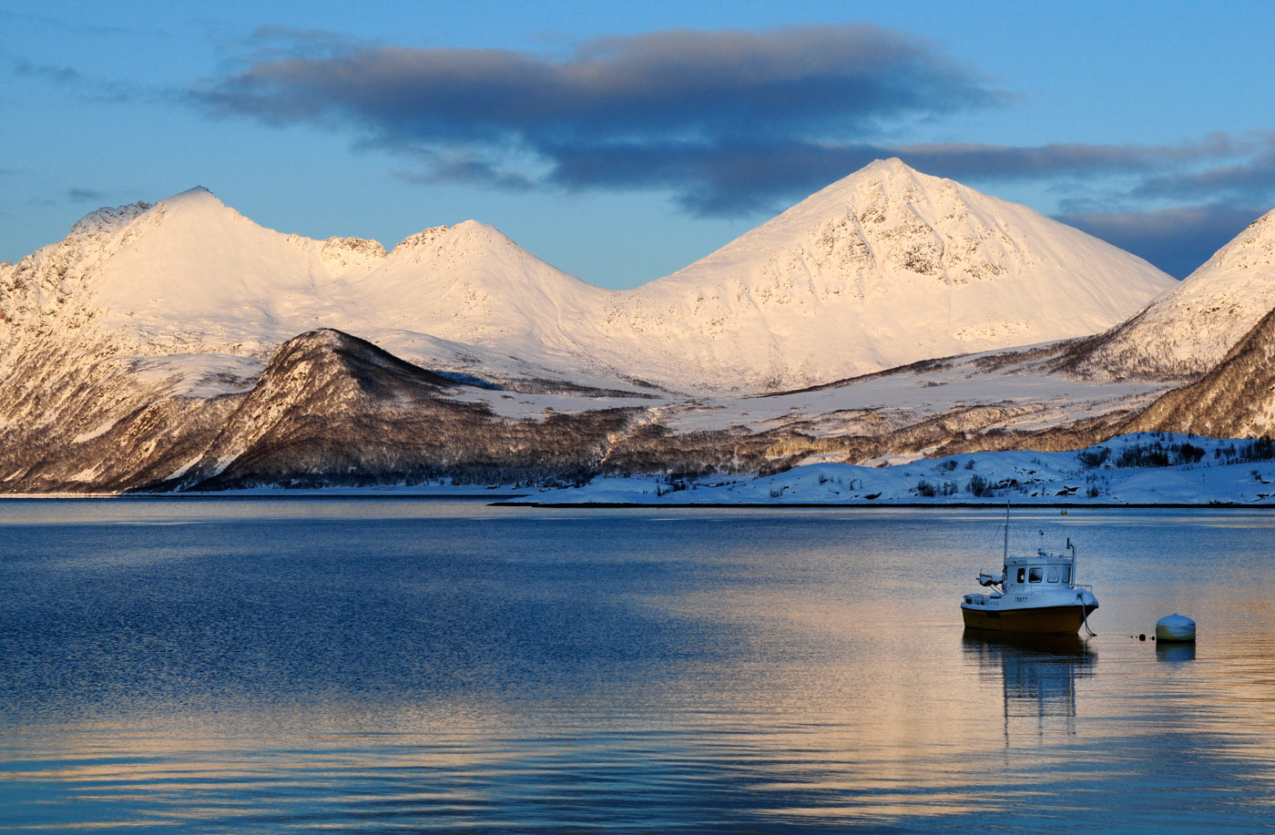 Close to Sjøtun, 2010