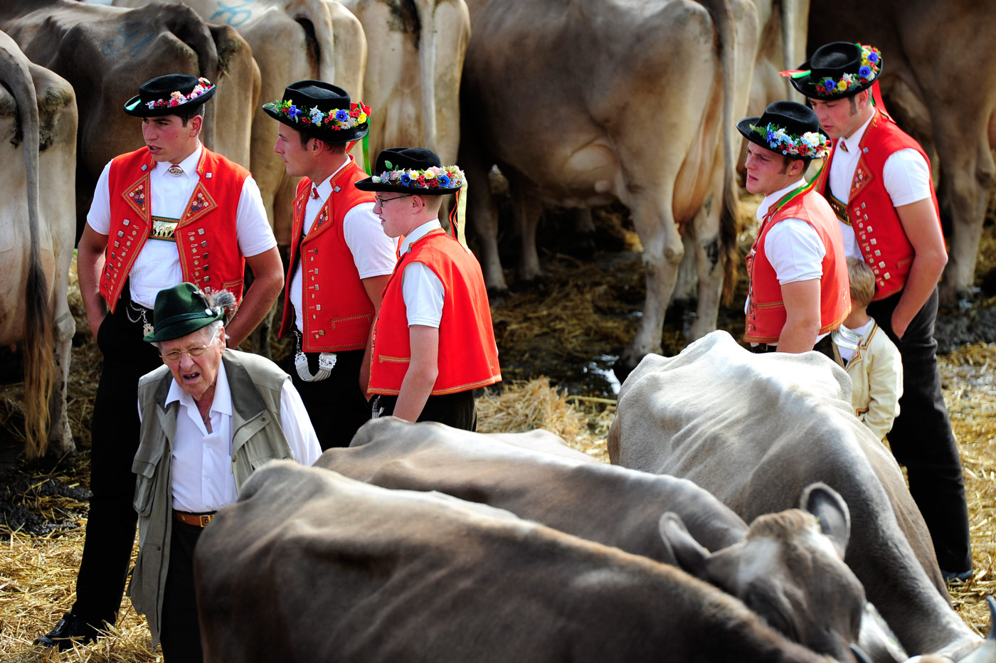 Viehschau Urnäsch, Urnäsch (AR), 2012