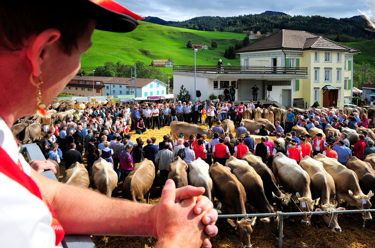 Viehschau Urnäsch, Urnäsch (AR), 2012