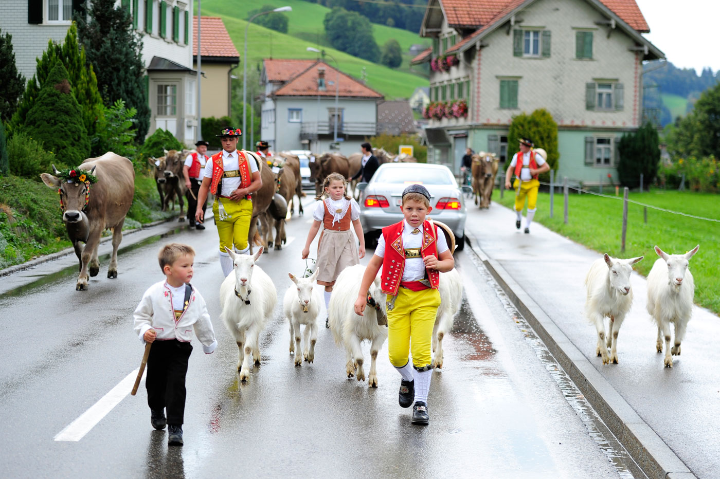 Viehschau Urnäsch, Urnäsch (AR), 2012