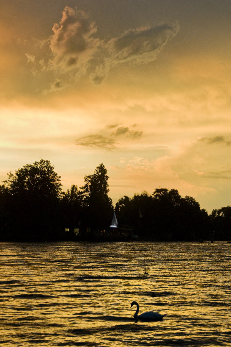 Lake of Zurich, Rüschlikon (ZH), 2007