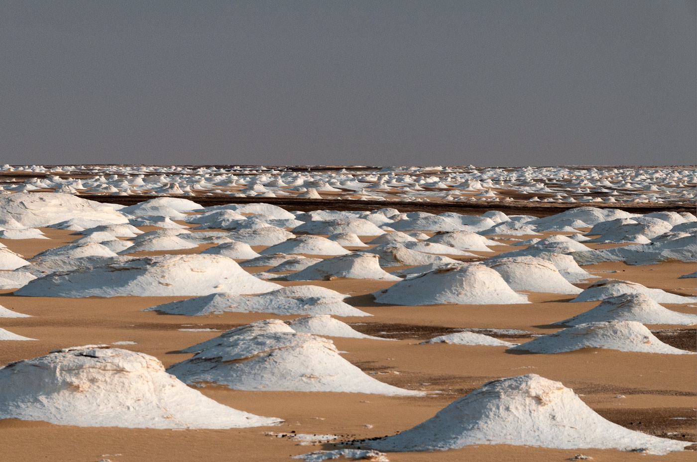 White Desert, 2009