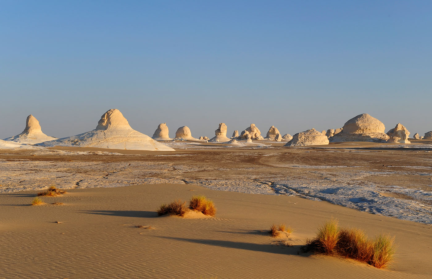 White Desert, 2009