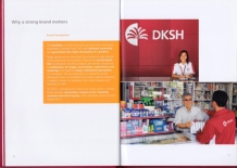 DKSH, Brand Book, 2011 