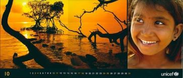 UNICEF International,  Panorama Calendar 2009